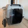 Pet Transport Dog Carrier IATA Image 2