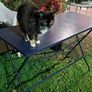 French Garden Table Steel Image 6
