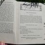 Evelyn Smith Form Room Plays Junior 1st Series 1953 Hardcover Image 7