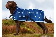 Dog Coat - Magnetic Treatment