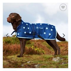 Dog Coat - Magnetic Treatment