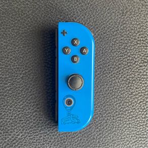 Fortnite Wildcat Limited Edition Nintendo Switch Right JoyCon