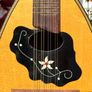 Artia Excelsior made for Boosey & Hawkes - model No. 556 Image 2