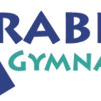 Arabian Gymnastics Club Jobs in Ireland