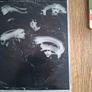 The Book Of Invasion A Celtic Symphony Horslips Image 4
