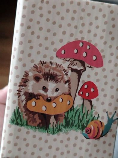 beautiful new Cath Kinston hedgehog salt & pepper shakers