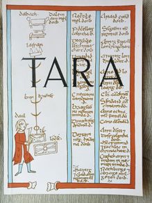 Tara: The Monuments on the Hill