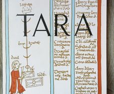 Tara: The Monuments on the Hill