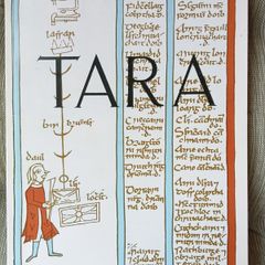 Tara: The Monuments on the Hill