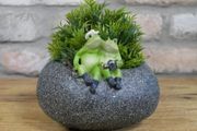 Small Frog Trough D9261
