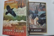 urban crow oracle cards