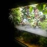 Terrario Premium Fogger v2 fog generator with nozzle Image 2