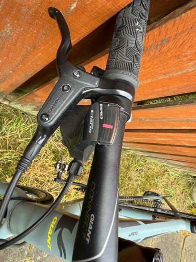 Giant Rapid 3 Hybrid Road Bike  Medium Frame (Carbon Fork)