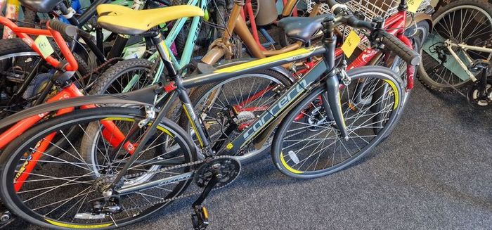 adult bikes