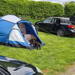 Complete Family Camping Bundle - Kampa Mersea 4 Tent, Chairs, Mains Kit & More