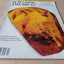 Scientific American Magazine Prehistoric Amber Issue 1996 Image 3