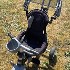 Q play grey trike