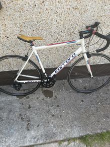 Carrera karkinos