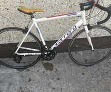 Carrera karkinos
