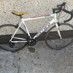Carrera karkinos