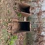 digger Image 10