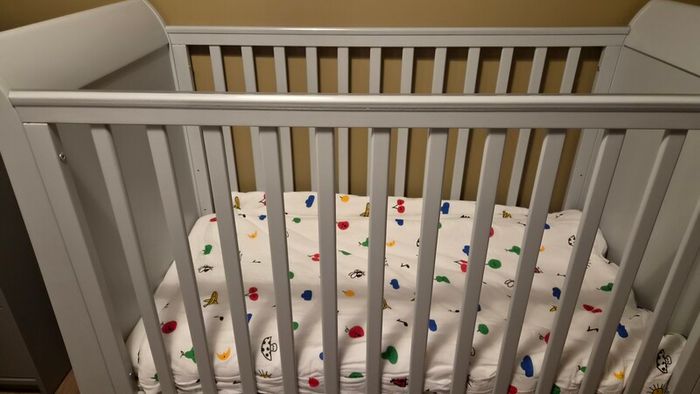 Mamas and Papas Cot & Matress