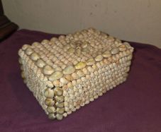 1960's Sea Shell Trinket/Jewellery Box