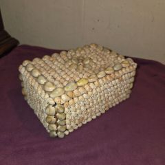 1960's Sea Shell Trinket/Jewellery Box