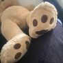 Big teddy Image 3