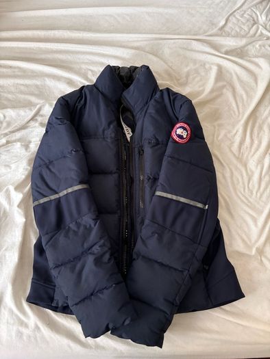 canada goose