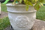 concrete pots