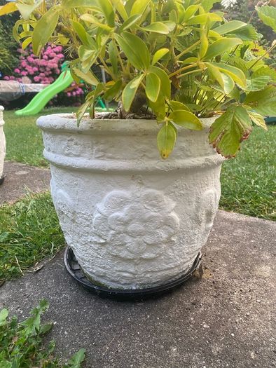 concrete pots