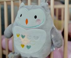 Tommee Tippee Ollie the owl