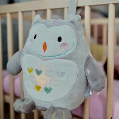 Tommee Tippee Ollie the owl