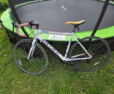 carrerra karkinos racer 14 gears