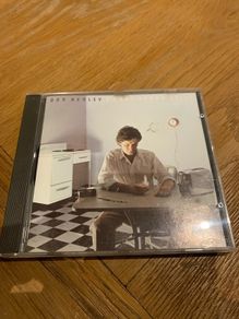 Don Henley -  I Can't Stand Still