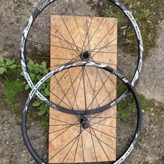 DT Swiss R24 db Spline