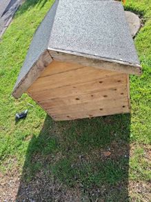 dog house