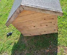 dog house