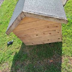 dog house