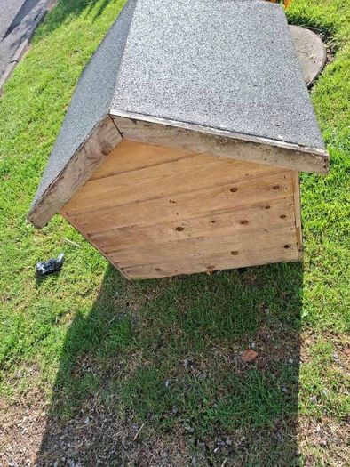dog house
