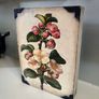 Sid Dickens memory block T-462 Apple Blossom Image 6