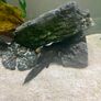 240 litre Aquarium Image 3