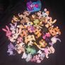 Littlest pet shops Image 2