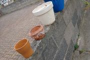 flower pots