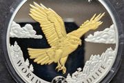 Wildlife 1 oz silver The PEREGRINE FALCON 2024 Congo 20 Fr Gold Gilded coin