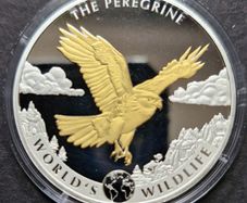 Wildlife 1 oz silver The PEREGRINE FALCON 2024 Congo 20 Fr Gold Gilded coin