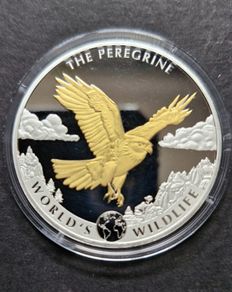Wildlife 1 oz silver The PEREGRINE FALCON 2024 Congo 20 Fr Gold Gilded coin