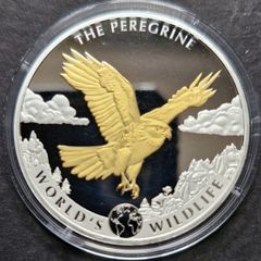 Wildlife 1 oz silver The PEREGRINE FALCON 2024 Congo 20 Fr Gold Gilded coin