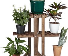 Flower Ladder Rack with 3 Tiers, Wooden, Flower Stand for Indoors, Multi-Tier, HxWxD: ca 82.5 x 83 x 28.5 cm, Dark Brown